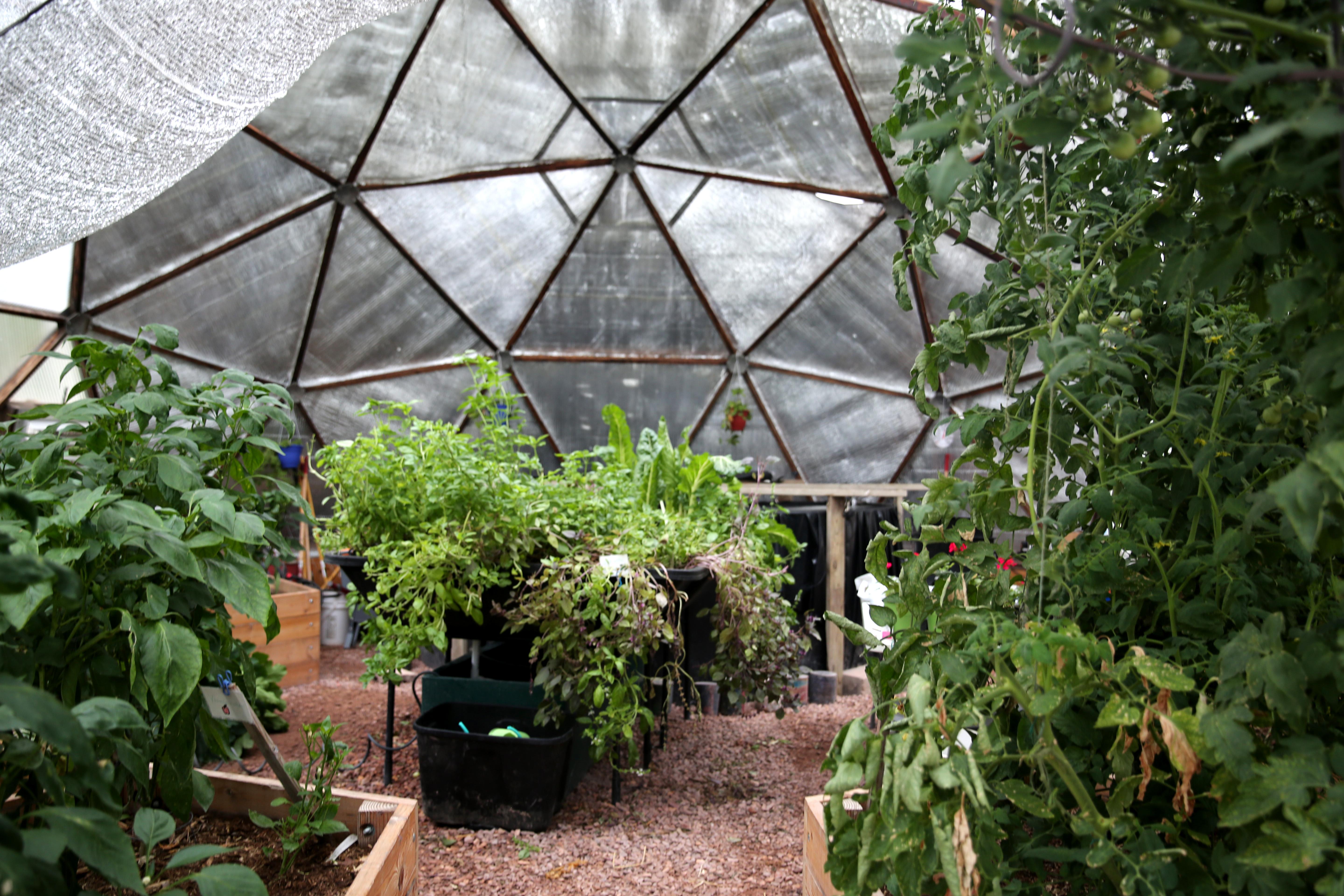 inside view of greenhouse
